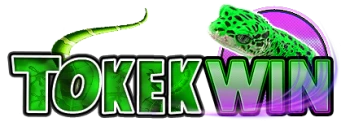 tokekwin — Pusat Unduh APK